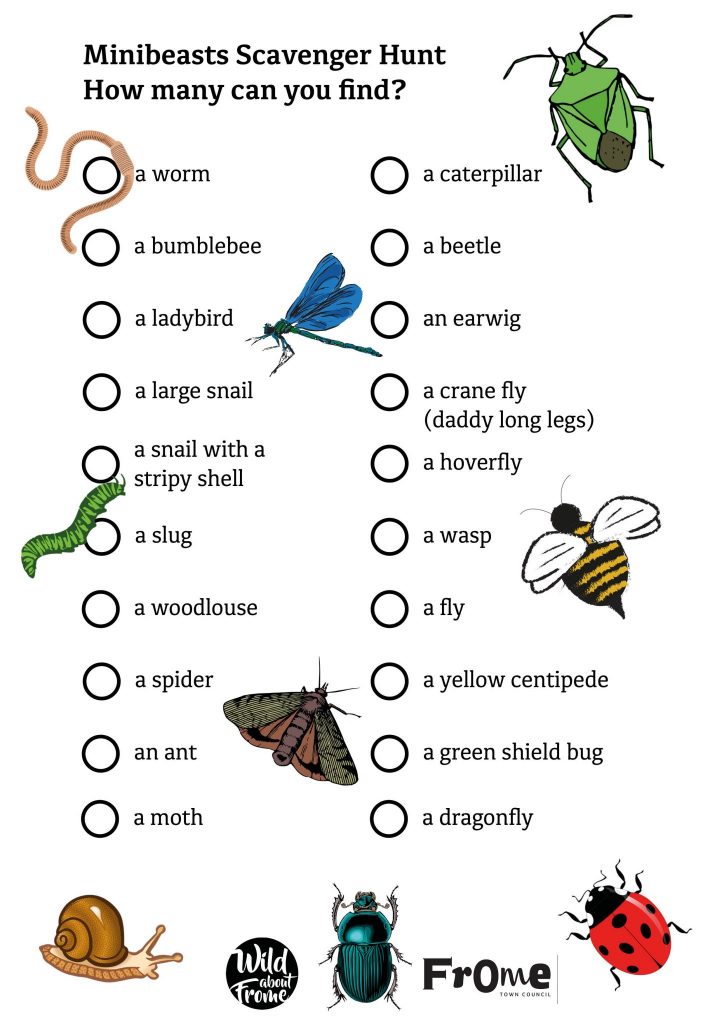 Wild about Nature: Minibeasts Scavenger Hunt - Discover Frome