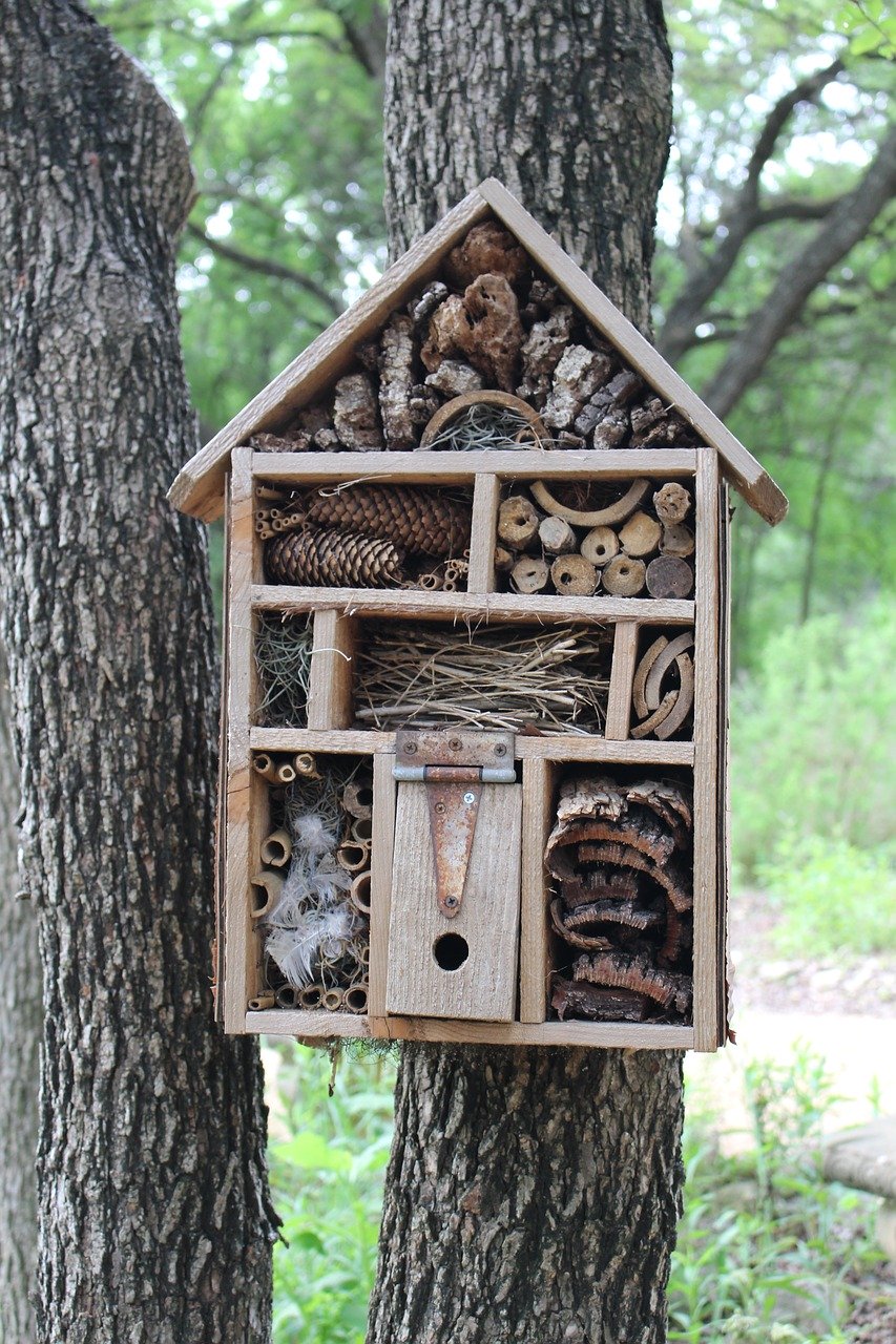 wild-about-nature-bug-hotels-discover-frome