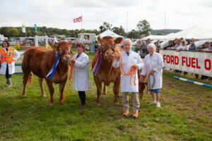 Cows at Frome Cheese Show