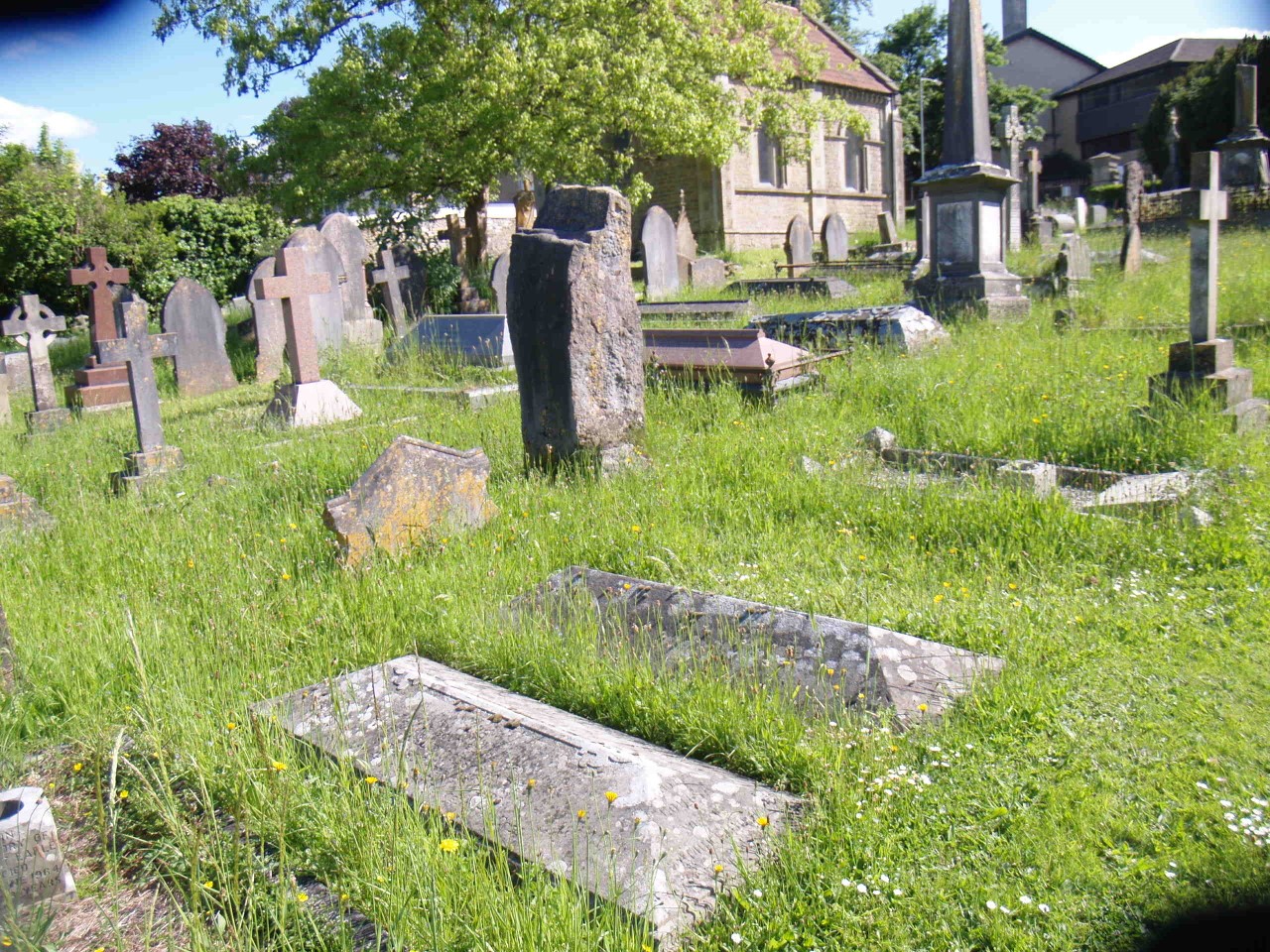 Frome Churchyards’ Biodiversity Open Day - Discover Frome