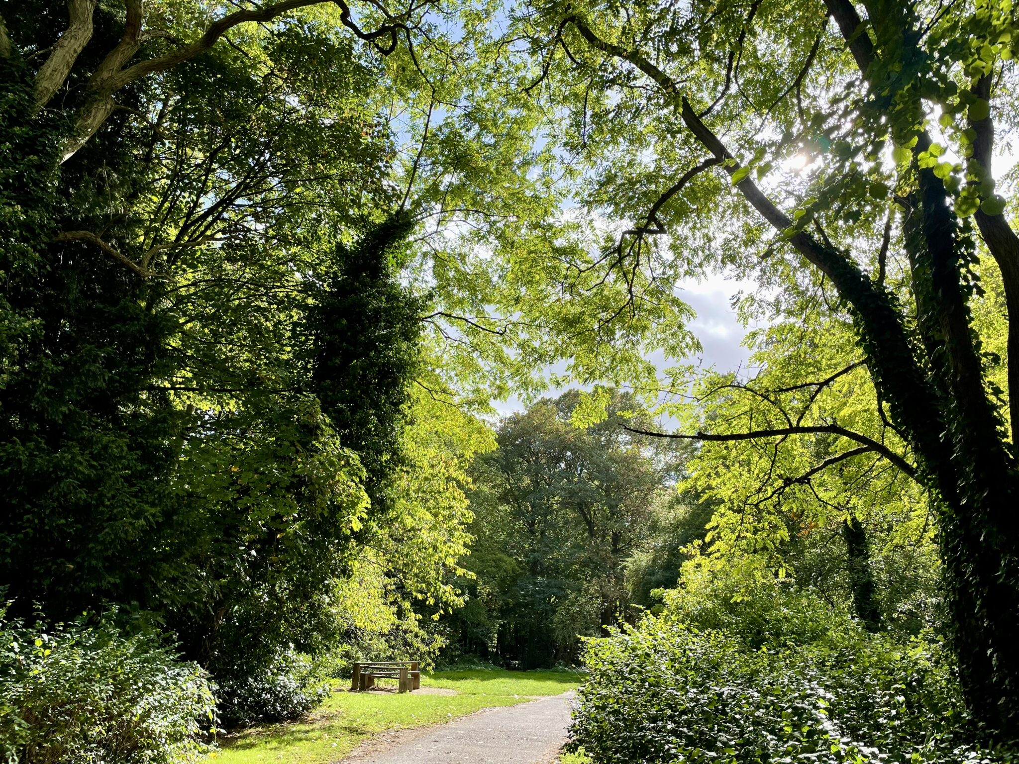 Green Spaces Walk - Discover Frome